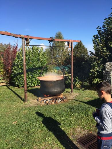 Un enfant regarde un chaudron suspendu fumer au-dessus d'un feu, dans un jardin ensoleillé
