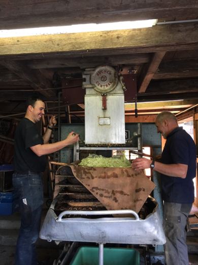 Deux hommes travaillent autour d'un pressoir ancien, l'un verse de la pulpe de pommes dans un sac de toile