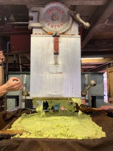 Jus de pomme s'écoulant d'un vieux pressoir métallique, mains d'un membre actionnant la manivelle