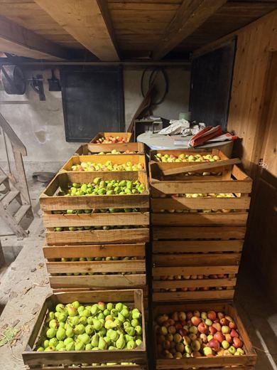 Les caisses de fruits attendent au pressoir.