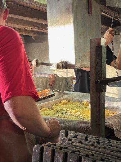 La préparation des fruits pour la pressée.