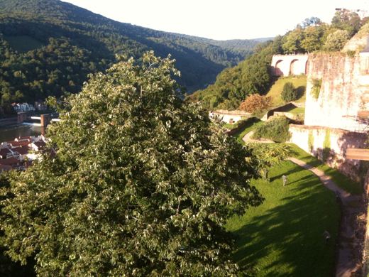 Les jardins et les collines autour du château.