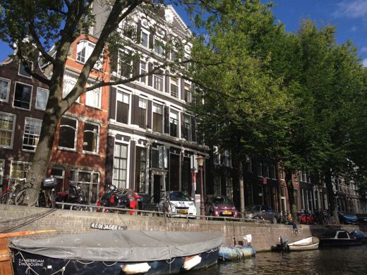 Maisons étroites et arbres au bord de l’eau.