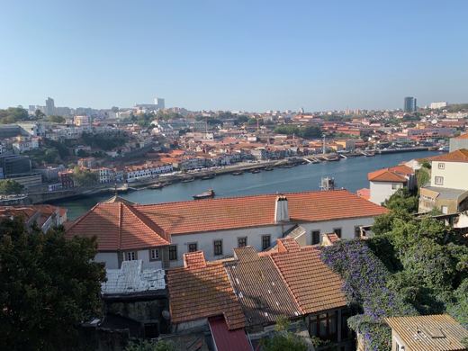 Vue en hauteur sur le fleuve Douro bordé de maisons aux toits de tuiles rouges, ciel bleu dégagé.