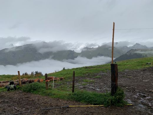 Paysage de pâturage de montagne avec vaches au loin, sommets couverts de brume et de nuages.