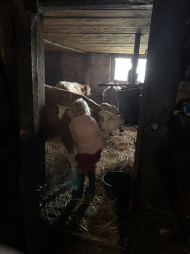 Dans l’étable du chalet.