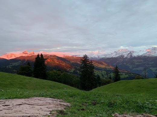 Coucher de soleil aux teintes orangées sur des collines verdoyantes, ciel dégagé en fin de journée.