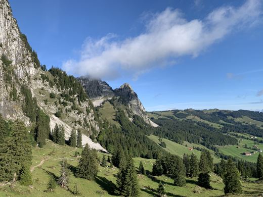 Le matin dans les alpages de Suisse centrale.