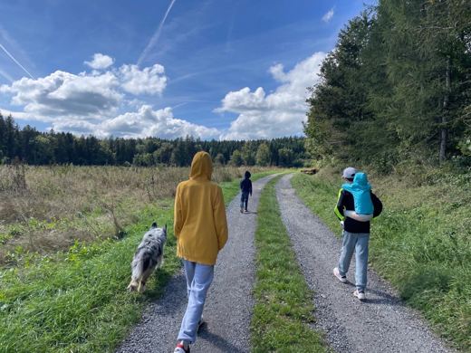 Deux personnes vues de dos marchant avec un chien sur un chemin de campagne verdoyant, ciel partiellement dégagé.