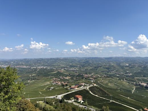 Les vignes des Langhe vues depuis La Morra.